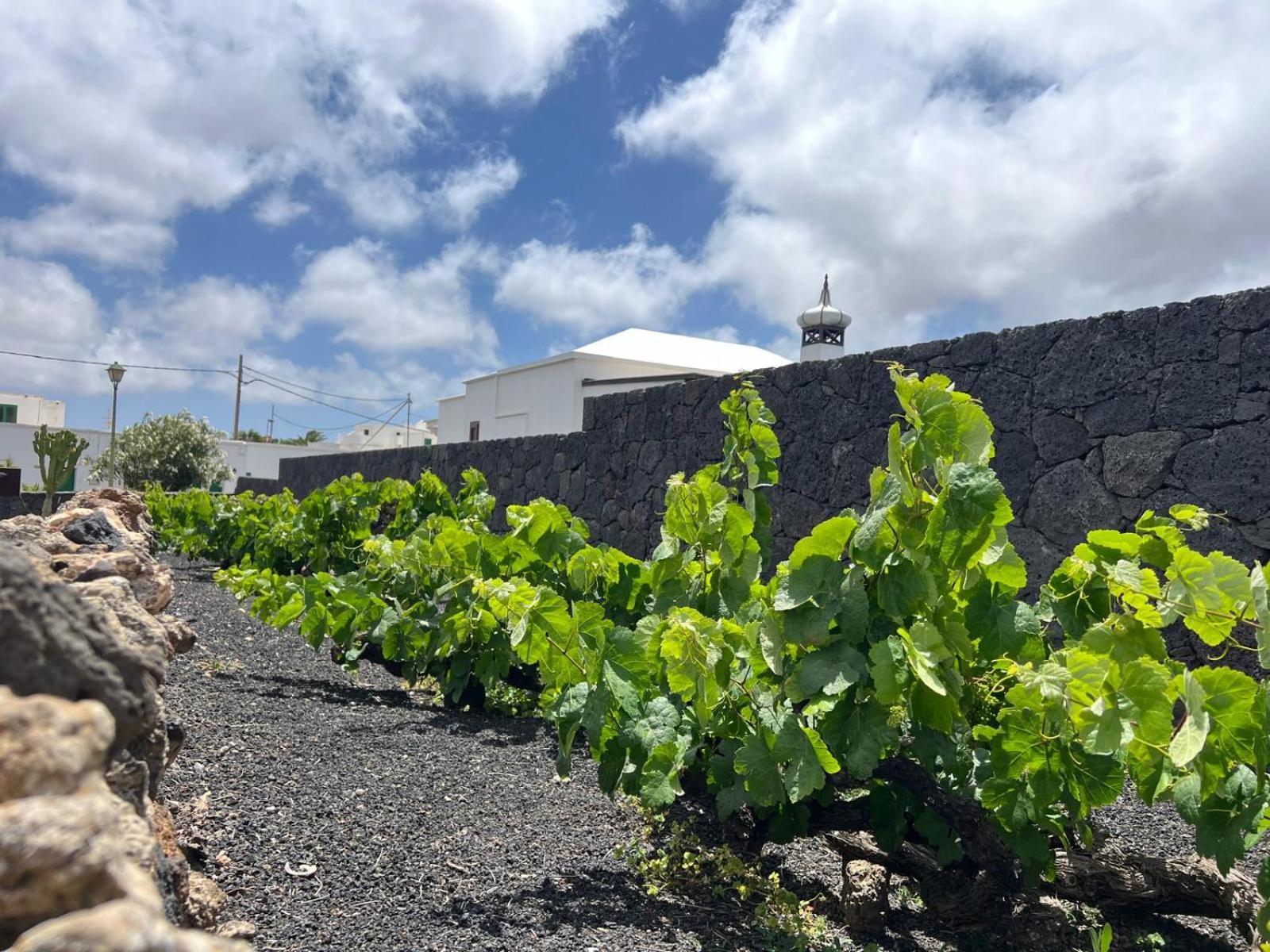 Casa Carla Villa La Vegueta Eksteriør bilde