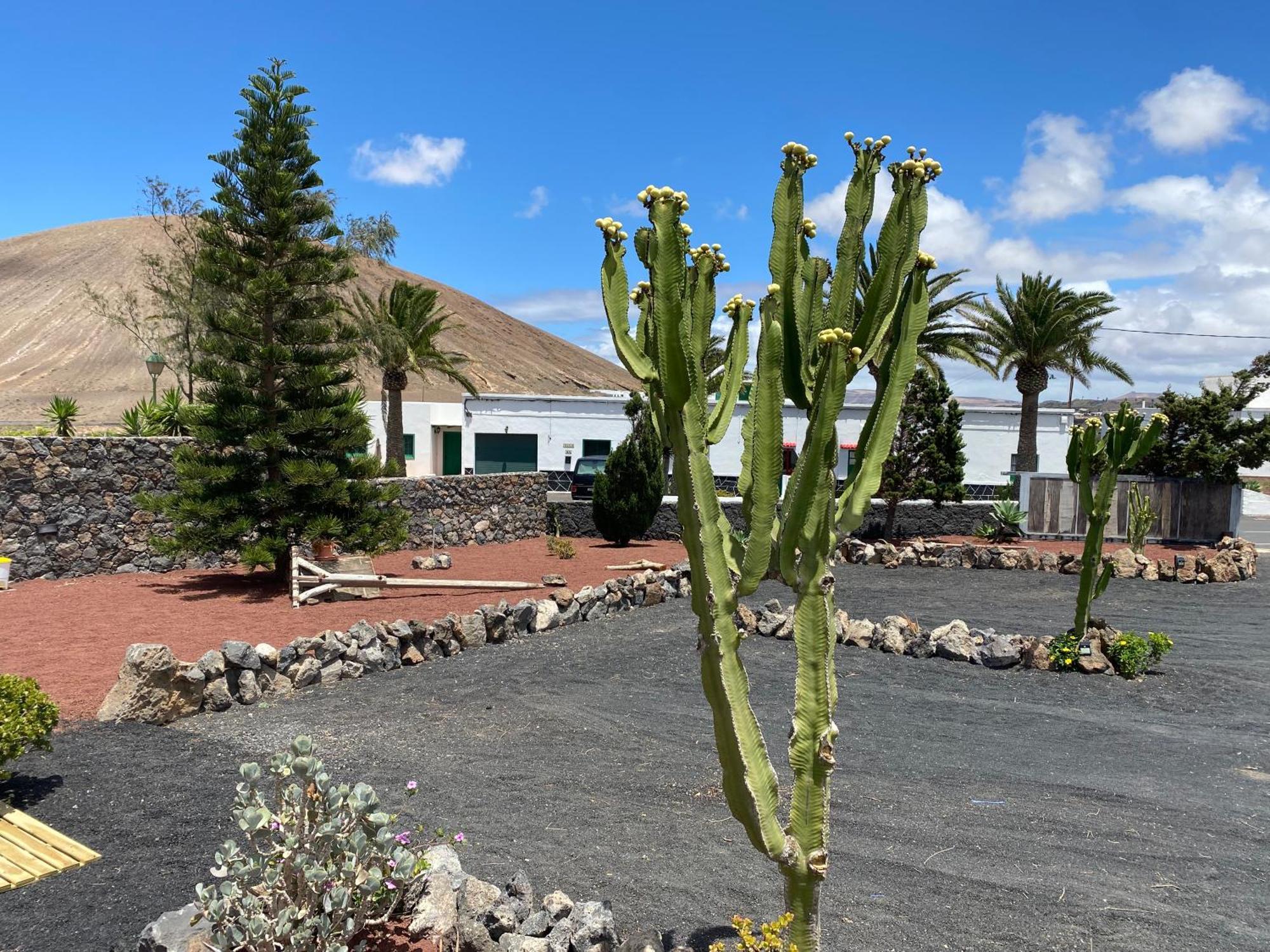 Casa Carla Villa La Vegueta Eksteriør bilde